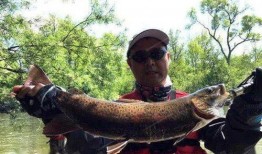 最新偷鱼爆料新闻报道图片,现场图片曝光，警方介入调查！”